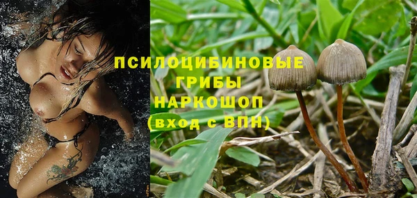 дживик Гусиноозёрск
