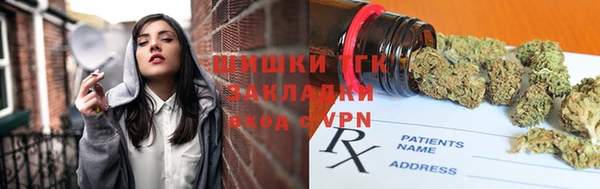 ешки Дмитриев