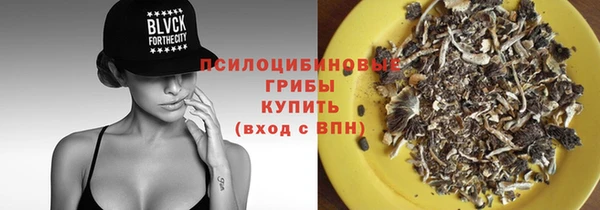 трава Дмитров
