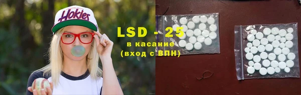 гашик Гусь-Хрустальный