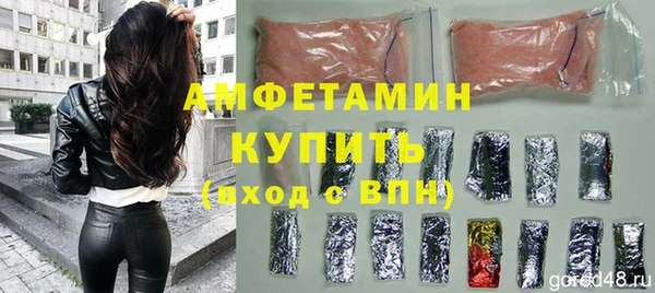 гашик Гусь-Хрустальный
