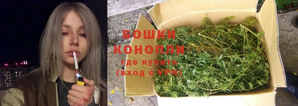 дживик Гусиноозёрск