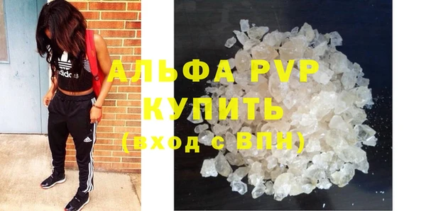 ешки Дмитриев