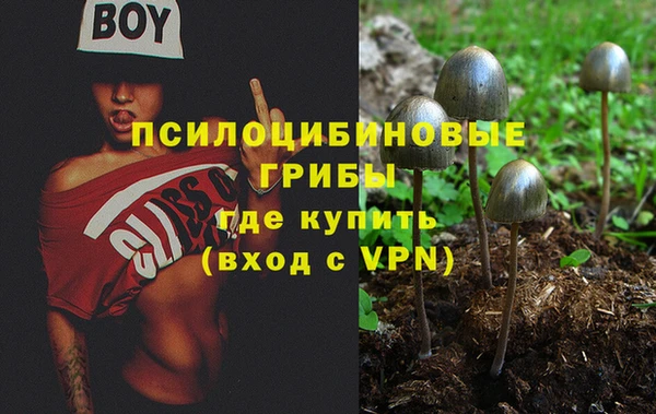 гашик Гусь-Хрустальный