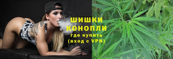 дживик Гусиноозёрск