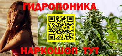мет Кимры