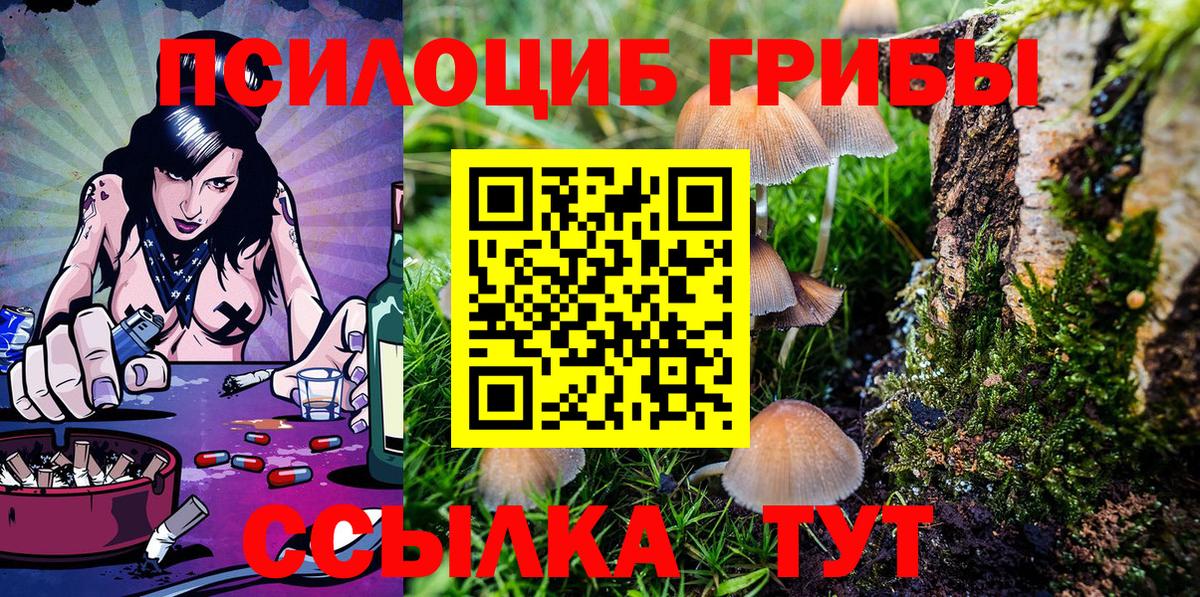 Назарово  Псилоцибиновые грибы Psilocybe  Вход с VPN  Галлюциногенные грибы мухоморы 