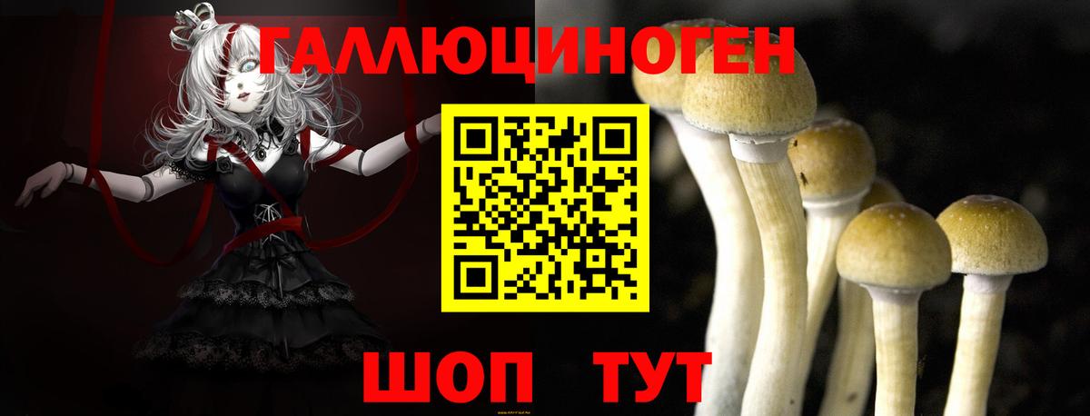 Псилоцибиновые грибы прущие грибы Назарово